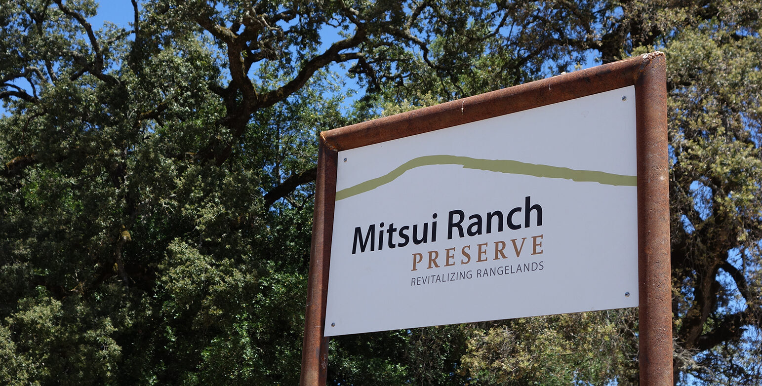 Mitsui Ranch sign.sm